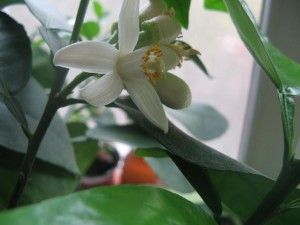 IMG_1988.jpg