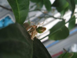 IMG_1991.jpg