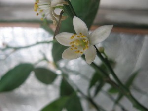IMG_1994.jpg