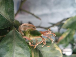 IMG_1995.jpg