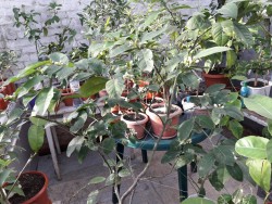 8.jpg (26.14 КБ) 11190 просмотров 8.jpg