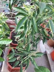 9.jpg (169.57 КБ) 11713 просмотров 9.jpg