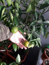 10.jpg (20.97 КБ) 11190 просмотров 10.jpg