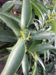 11.jpg (20.09 КБ) 11190 просмотров 11.jpg