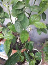 12.jpg (20.45 КБ) 11190 просмотров 12.jpg