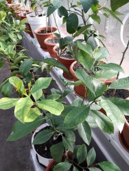 13.jpg (24.04 КБ) 11713 просмотров 13.jpg