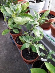 14.jpg (21.92 КБ) 11190 просмотров 14.jpg