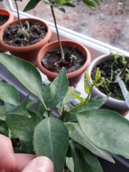 15.jpg (19.16 КБ) 11190 просмотров 15.jpg