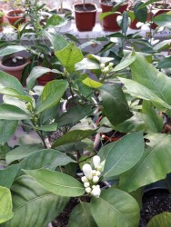 19.jpg (22.47 КБ) 11190 просмотров 19.jpg