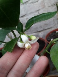 20.jpg (13.76 КБ) 11713 просмотров 20.jpg