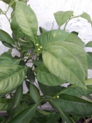 21.jpg (14.98 КБ) 11713 просмотров 21.jpg