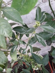 22.jpg (21.21 КБ) 11190 просмотров 22.jpg