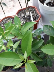 23.jpg (20.36 КБ) 11190 просмотров 23.jpg