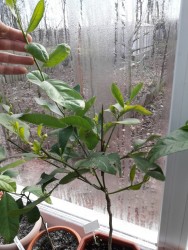 24.jpg (20.49 КБ) 11190 просмотров 24.jpg