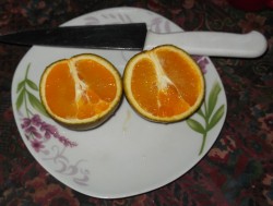 DSCF1050.jpg
