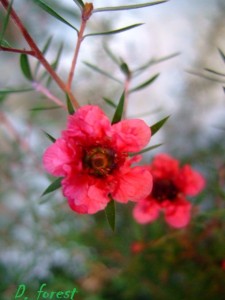 DSCF2730.JPG