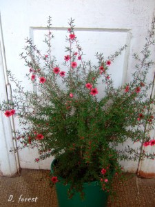 DSCF2773.JPG
