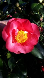 20180406_100205res.jpg