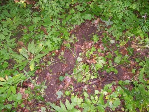 100_2331.JPG