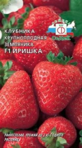 6975_0.jpg