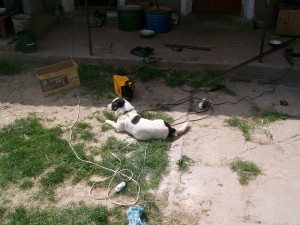 100_2518.JPG