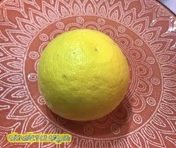IMG_4839.JPG