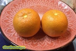 IMG_4853.JPG