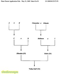 imgonline-com-ua-CompressBySize-RzaDL5l9fJ.jpg