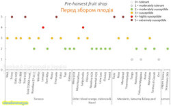 Перед збором плодів.jpg (221.13 КБ) 10786 просмотров Перед збором плодів.jpg