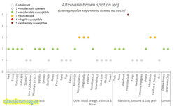 Альтернаріоз коричнева плямистість на листі.jpg (7.84 КБ) 10786 просмотров Альтернаріоз коричнева плямистість на листі.jpg