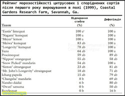 Рейтинг морозостійкості цитрусових і споріднених сортів після першого року вирощування в полі (1999), Coastal Gardens Research Farm, Savannah, Ga..jpg (13.9 КБ) 10708 просмотров Рейтинг морозостійкості цитрусових і споріднених сортів після першого року вирощування в полі (1999), Coastal Gardens Research Farm, Savannah, Ga..jpg