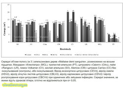 Середні_об’єми_пологу_м_3_апельсинових_дерев_«Maltaise_demi_sanguine».jpg (251.72 КБ) 4799 просмотров Середні_об’єми_пологу_м_3_апельсинових_дерев_«Maltaise_demi_sanguine».jpg