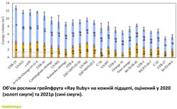 Об’єм рослини грейпфрута «Ray Ruby» на кожній підщепі, оцінений у 2020 (золоті смуги) та 2021 (сині смуги)..jpg (13.84 КБ) 7540 просмотров Об’єм рослини грейпфрута «Ray Ruby» на кожній підщепі, оцінений у 2020 (золоті смуги) та 2021 (сині смуги)..jpg