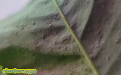 Screenshot_4.jpg