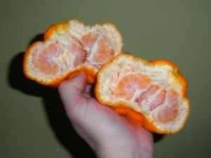 DSCN8667.JPG