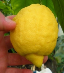 DSCN8624.JPG