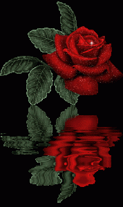 00D05CB7F342_80.93.48.102_172.26.152.45_006459.gif