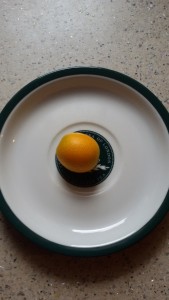 20150617_070426.jpg