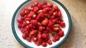 20150612_181852.jpg