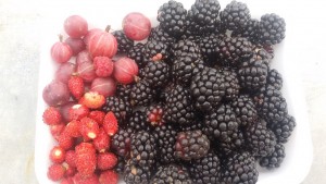 20150728_163140.jpg