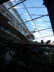 IMG_20141011_164426.jpg