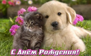 ktokogda.jpg