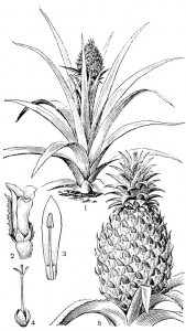 000218.jpg (19.87 КБ) 30512 просмотров 000218.jpg