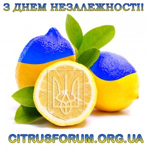 citrusforumorgua.jpg