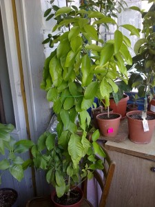 050920153115.jpg