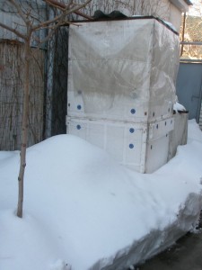 P1100007.JPG