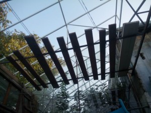IMG_20150902_185252.jpg