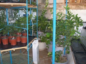 100_2805.JPG