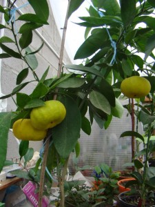 DSC00564.jpg