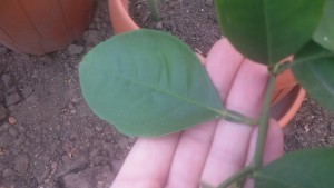 20151024_084335.jpg